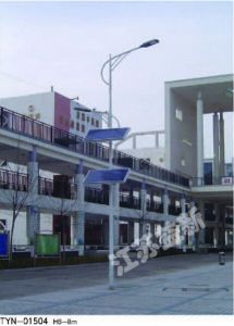 太陽(yáng)能道路燈